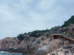 -广东惠东海龟国家级自然保护区