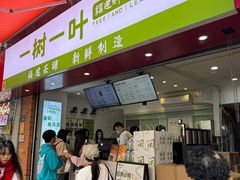 -一树一叶·福建茶档(石鼓路店)