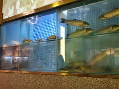-顺峰顺水顺德菜(龙华店)