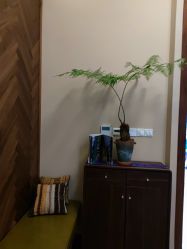 -娇玫荟SPA