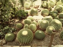 -北京植物园-展览温室