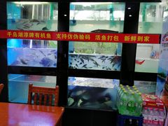 -全乐鱼馆·淳牌有机鱼直营店