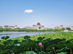 -莲花池公园