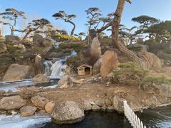 -罗红摄影艺术馆