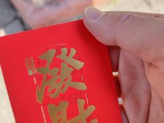 -鸿渡渔庄·特色鸭咀鱼