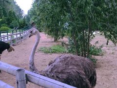 -大连森林动物园