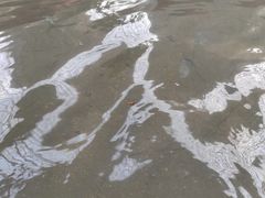 -青岛海泉湾度假区温泉