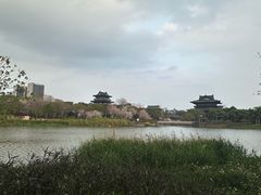 -海珠湖公园
