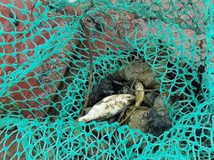 -新塘水果乐园(东洲大道店)