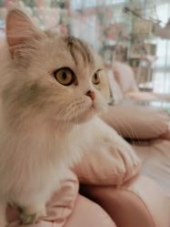 -Beauty Nails 美甲美睫皮肤管理
