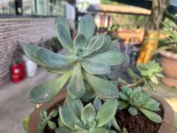 -南海地球村生态亲子乐园