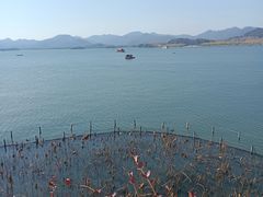 -湖畔居茶楼(湖滨店)