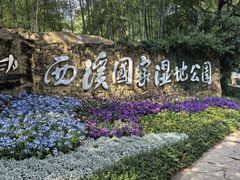 -野蔓果·山野菜(西湖景区·龙井茶田店)