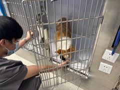 -北京派仕佳德动物医院·超导核磁·CT·神经科·骨科·内外科·急重症管理中心