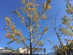 -平安里(地铁站)