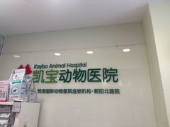 -悦宠凯宝动物医院·牙科·皮肤科(朝阳北路店)