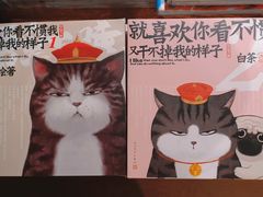 -新华文创·光的空间