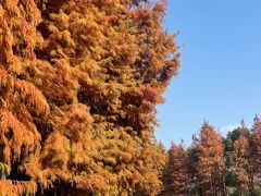 -昆承湖酒家·本帮农家菜