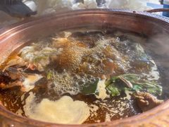 -老诚一锅(锦州总店)