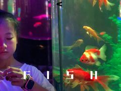 -白鹿仓冰雪海洋世界