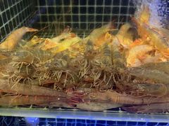 -开海·红岛海鲜虾水饺(石老人店)