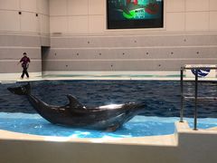 -鹿儿岛水族馆