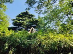 -山东大学(趵突泉校区)