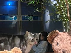 -咖法森林·咖啡  酒吧(天河店)