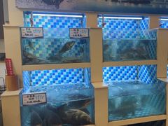-野渡坡·极致湘菜·庭院餐厅(汉阳店)