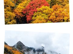 -叠溪松坪沟景区