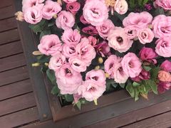 -威海华夏城景区