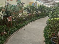 -南宫五洲植物乐园