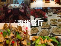 -万宝海鲜舫(劳动公园店)