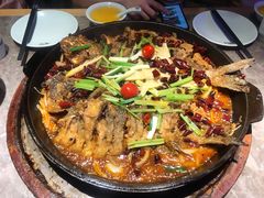 -老板恋上鱼(恒隆广场店)