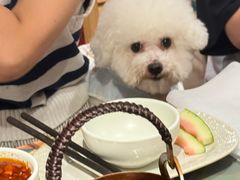 -廖掌柜·重庆鲜货火锅(上海首店)