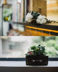 -菲林婚纱摄影工作室