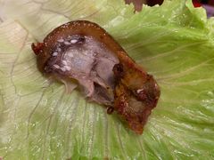 蔬菜包猪蹄-HOTISLAND海鸡岛·韩国料理(江南西店)