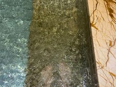 -金紫荆松骨休闲水会