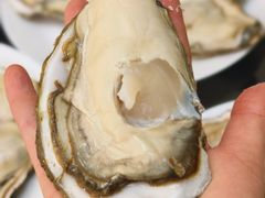 -添福来墨鱼饺子 · 海鲜东北菜(大连星海·黄浦路店)