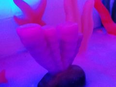 -白鹿仓冰雪海洋世界