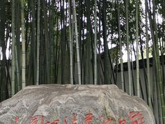 -上海醉白池公园