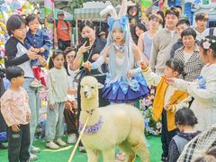 -灵玲国际马戏城