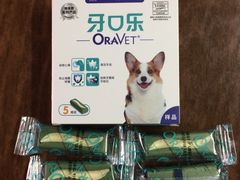 -爱侣宠医·鹦鹉专科·小型哺乳类·异宠专科(灵石路店)