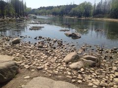 iphone_upload_pic-新江湾城公园