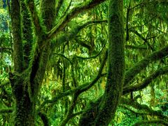 -西岭雪山大飞水景区