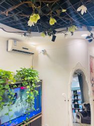 -伊淑颜女子美容SPA会馆