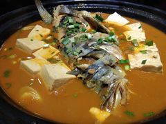 -松沪名灶·豆浆鱼头·新上海菜(飞航吾悦广场店)