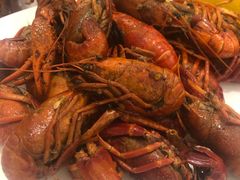 -印象高密·凤都国际大酒店