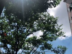 -光明牛奶棚(南泉店)