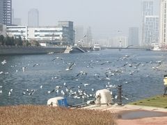-马栏河运动公园